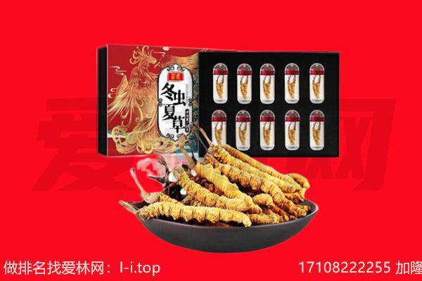 石阡县回收虫草.jpg